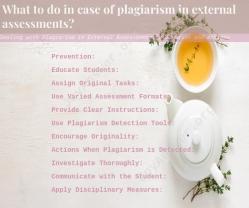 Dealing with Plagiarism in External Assessments: Prevention and Actions