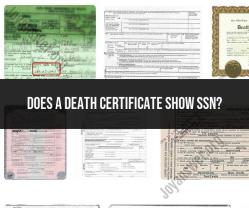 Death Certificate and SSN: Information Displayed