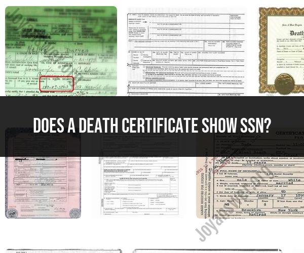 Death Certificate and SSN: Information Displayed