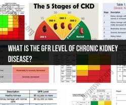 Decoding GFR Levels in Chronic Kidney Disease: What You Need to Know