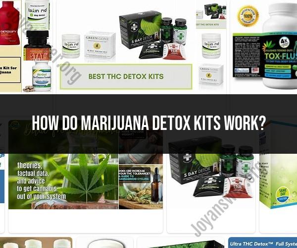 Decoding Marijuana Detox Kits: Unraveling Their Mechanism