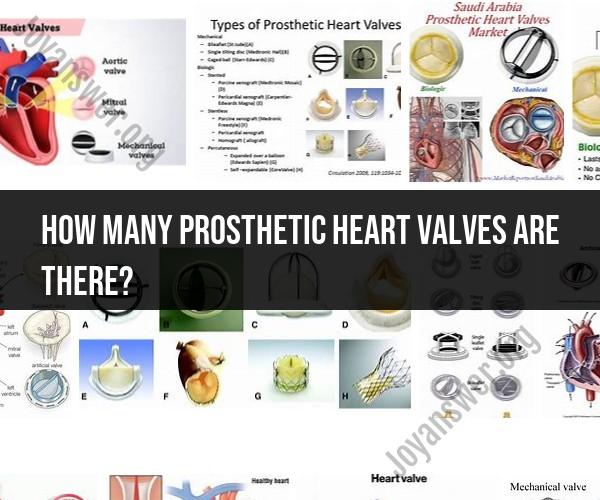 Decoding Prosthetic Heart Valves: Types and Varieties