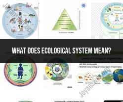 Decoding the Meaning of Ecological Systems