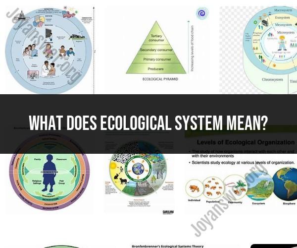 Decoding the Meaning of Ecological Systems