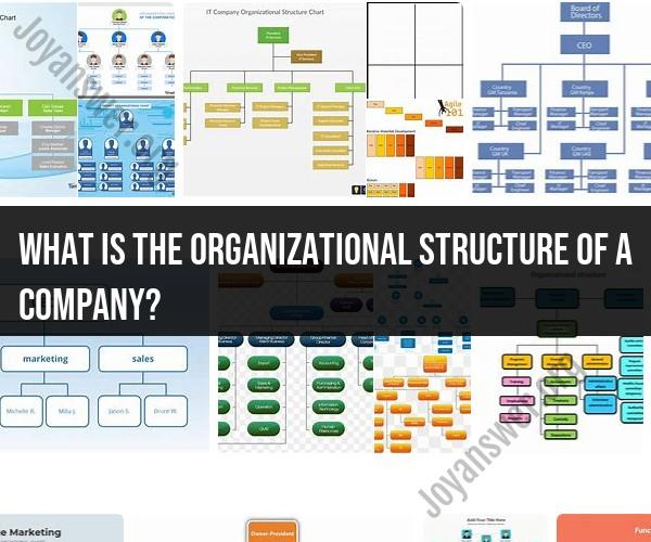 Decoding the Organizational Structure of a Company