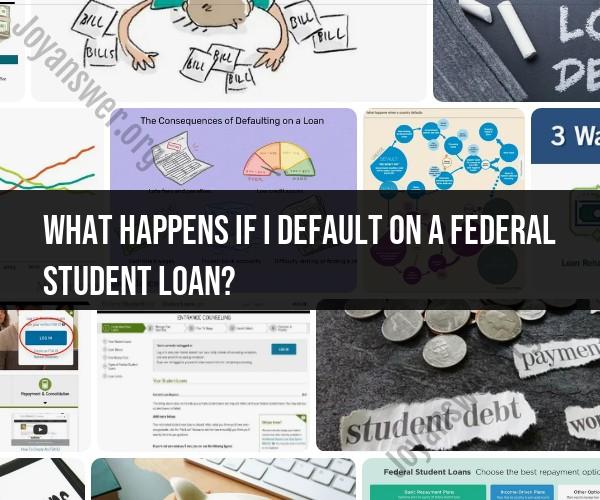 Defaulting on a Federal Student Loan: Consequences and Options