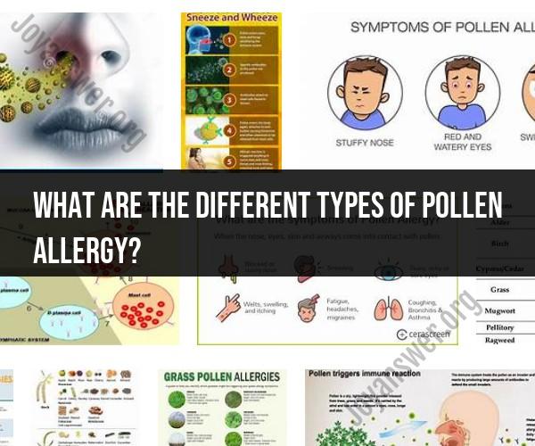 Demystifying Pollen Allergies: Exploring Different Types