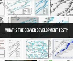 Denver Development Test: An Overview