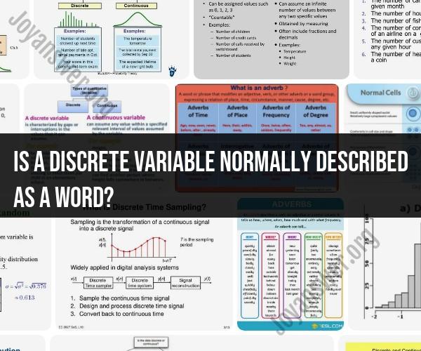 Describing Discrete Variables: Beyond Words