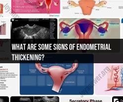 Detecting Endometrial Thickening: Key Signs to Watch For