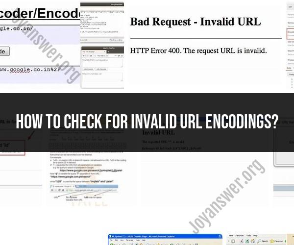 Detecting Invalid URL Encodings: Effective Methods