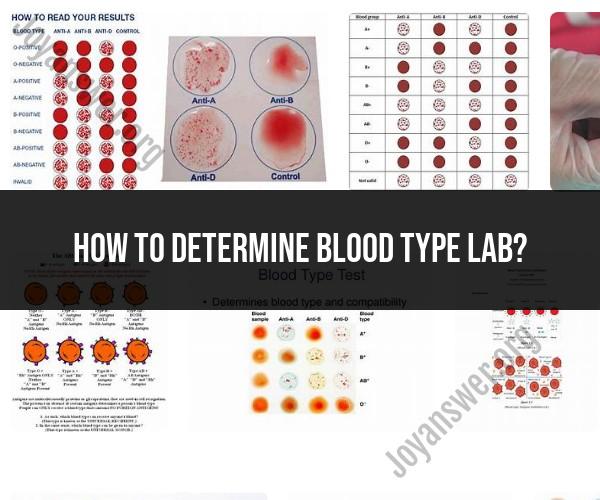 Determining Blood Type in a Lab Setting: Procedures and Tests