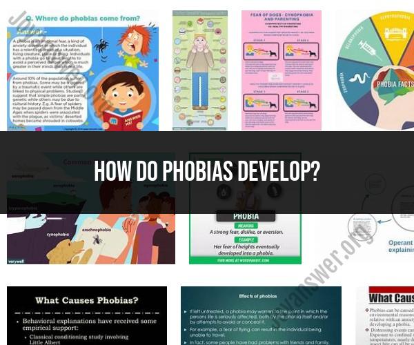 Development of Phobias: Insights into Fear Formation