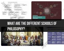 Different Schools of Philosophy: Influential Philosophical Traditions
