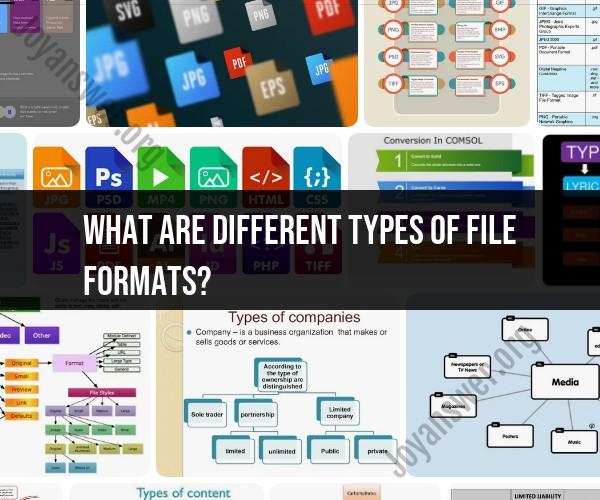 Different Types of File Formats: Understanding Digital Data