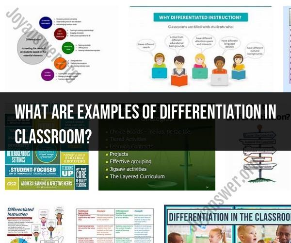 Differentiation in the Classroom: Tailoring Education for All