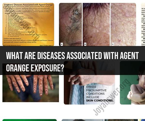 Diseases Associated with Agent Orange Exposure: Health Risks
