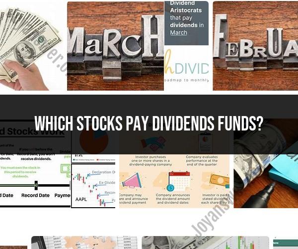 Dividend-Paying Stocks vs. Funds: Where to Find Dividend Income