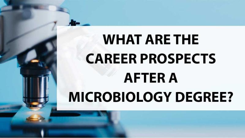 Doctorate Degree in Microbiology: Credit Hour Requirements