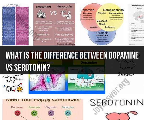 Dopamine vs. Serotonin: Understanding the Differences