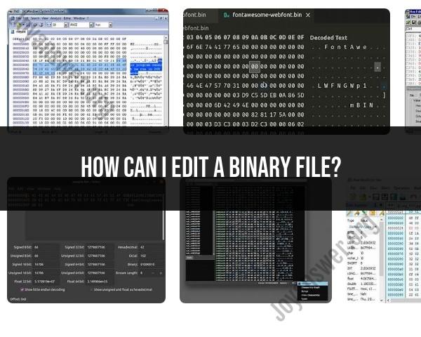 Editing a Binary File: Techniques and Tools