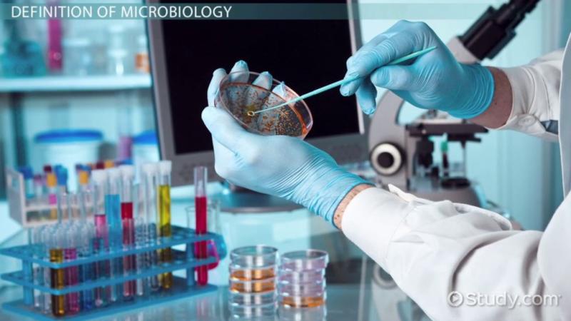 Effective Methods for Learning Microbiology