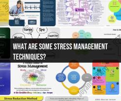 Effective Stress Management Techniques: Your Path to Well-Being