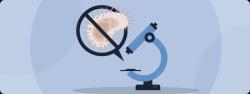 Eligibility Criteria for Integrated BSc Microbiology Programs