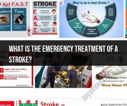 Emergency Treatment of a Stroke: Immediate Actions
