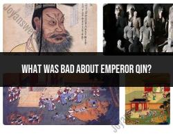 Emperor Qin: Negative Aspects and Criticisms