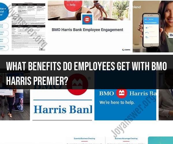 Employee Benefits with BMO Harris Premier: Overview