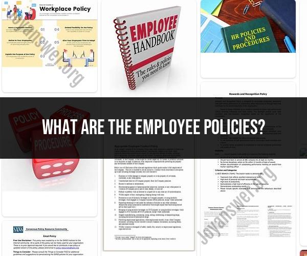 Employee Policies: Understanding Their Importance