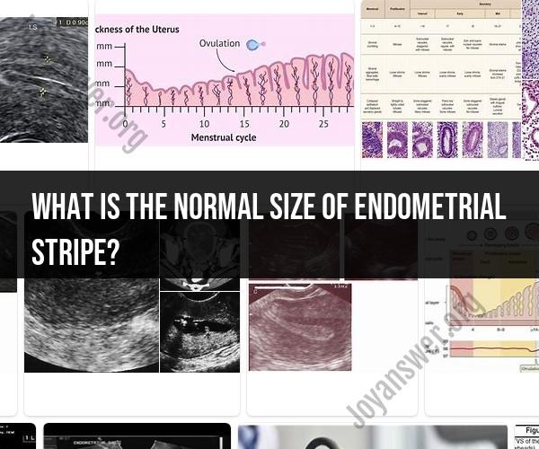 Endometrial Stripe Size: Normal Measurement