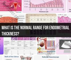 Endometrial Thickness: Understanding the Normal Range