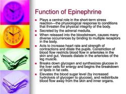 Epinephrine's Primary Function: Exploring Its Role
