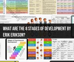 Erik Erikson's 8 Stages of Human Development: A Comprehensive Overview