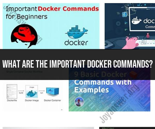 Essential Docker Commands: A Quick Reference
