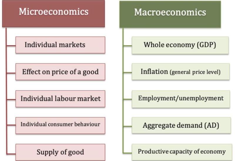 Essential Principles in Economics