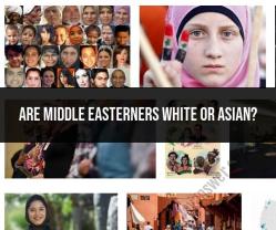 Ethnic Classification: Are Middle Easterners White or Asian?