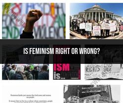 Evaluating Feminism: Perspectives and Debates