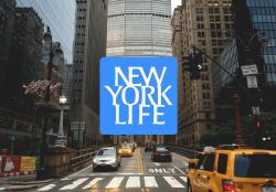Evaluating New York Life as an Insurance Company: Company Assessment