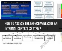 Evaluating the Effectiveness of Internal Control Systems