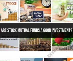 Evaluating the Potential of Stock Mutual Funds as Investments