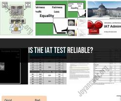 Evaluating the Reliability of the IAT Test