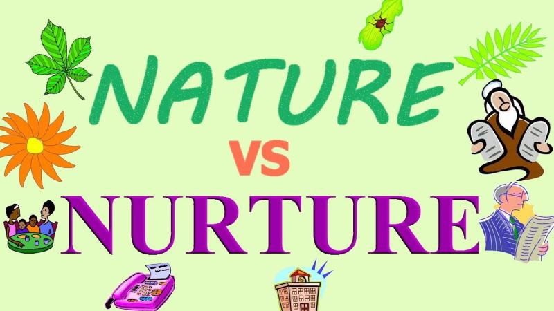 Examining Nature vs. Nurture: Similarities and Interplay