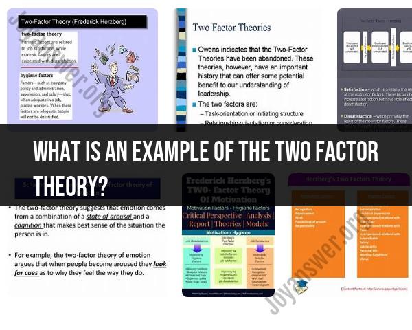 Example Illustrating the Two-Factor Theory: Real-life Application