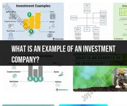 Example of an Investment Company: Types and Functions