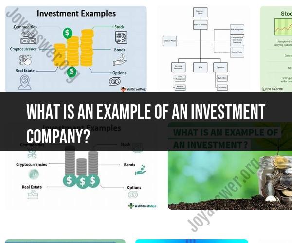 Example of an Investment Company: Types and Functions