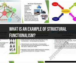 Example of Structural Functionalism in Sociology