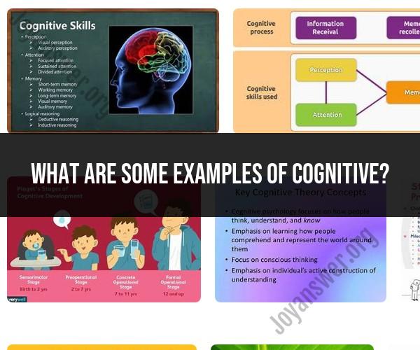 Examples of Cognitive Processes: Cognitive Functionality